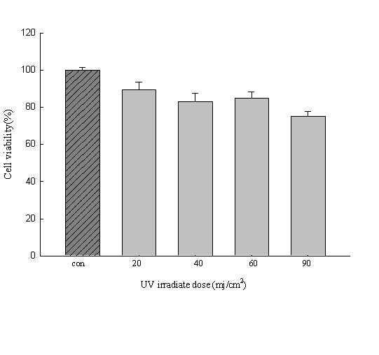 Effect of UV irradiation dose on the cell viability of human dermal fibroblast.