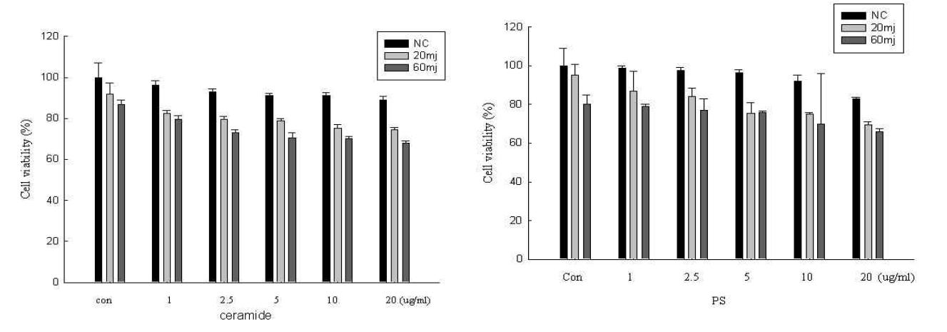 Effect of ceramide and PS on the cell viability of human dermal fibroblast with UV irradiation