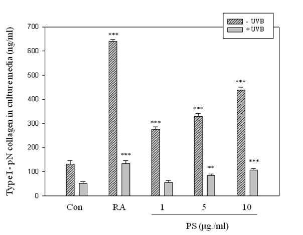 Effect of PS on type-I procollagen levels in HDF cells with or without UV irradiation