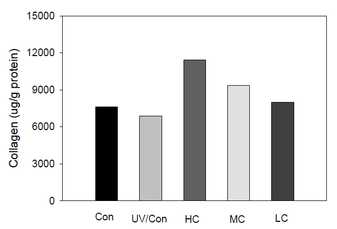 Effect of ceramide on the collagen content of hairless mice exposed to the chronic UV irradiation