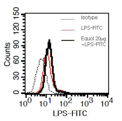 대식세포와 LPS 결합에 대한 equol의 영향.