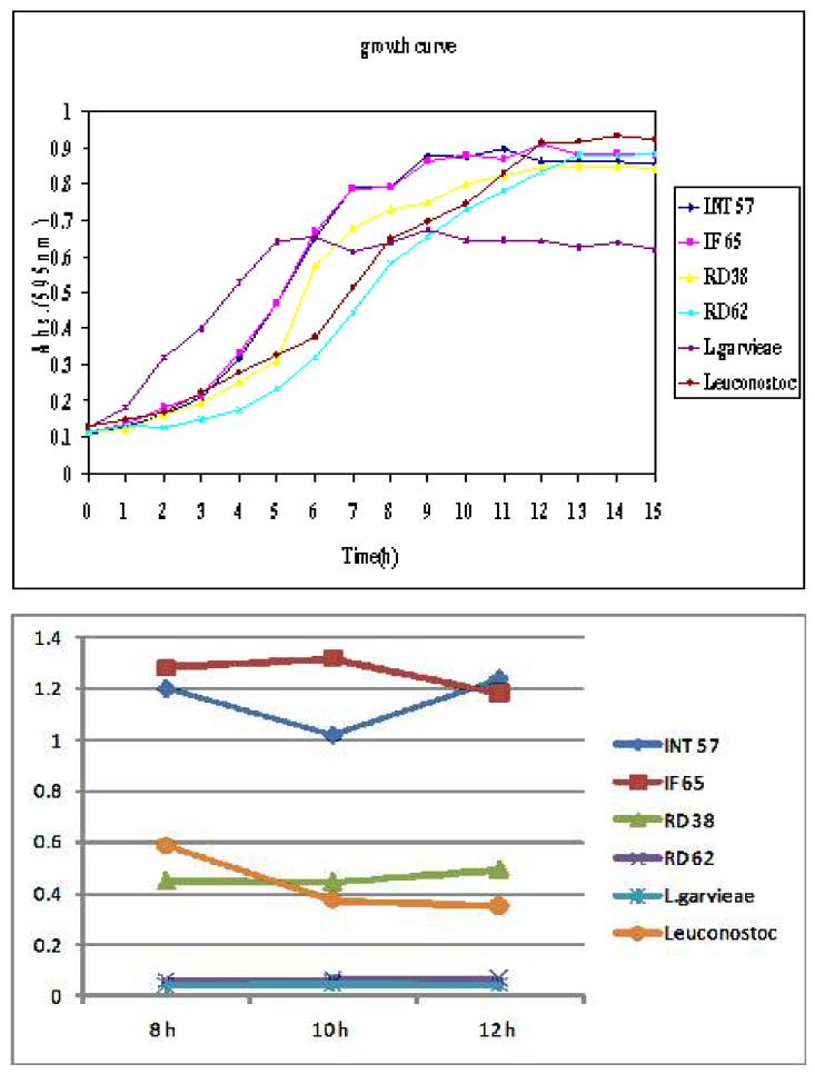 Growth curve of various lactic acid bacteria(upper) and β-glucosidase activities(lower) of them at 8, 10, 12 hrs