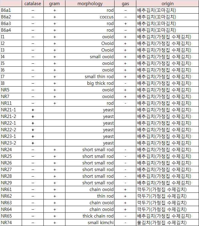 김치유래 균주들의 catalase, mprphology, gas production 특성