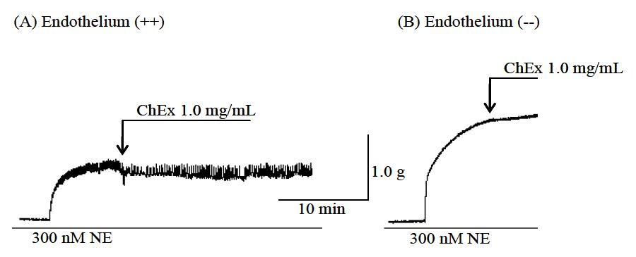 Vasorelaxant effect of cimicifuga heracleifolia extract (1.0 mg/mL) on endothelium-intact aorta (A) and endothelium-denuded aorta (B).