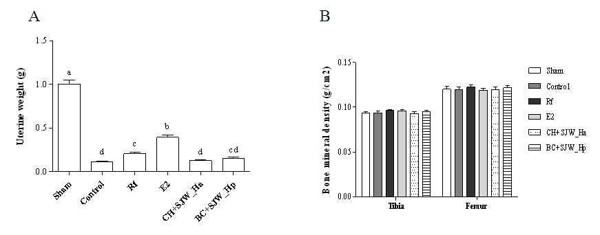 Effect of orally injected of CH+SJW_Ha and BC+SJW_Hp on (A) uterine weight and (B) bone mineral density in OVX SD rats