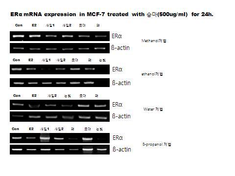 유방암세포주인 MCF-7 세포는 10%FBS RPMI1640에 배양한뒤 각 제법대로 추출한 승마추출물과(500ug/ml), 17β-estradiol(E2, 10nM)을 24시간 처리한뒤, ERɑ, PR, ps2 mRNA를 real time RT-PCR을 통해 분석하였다