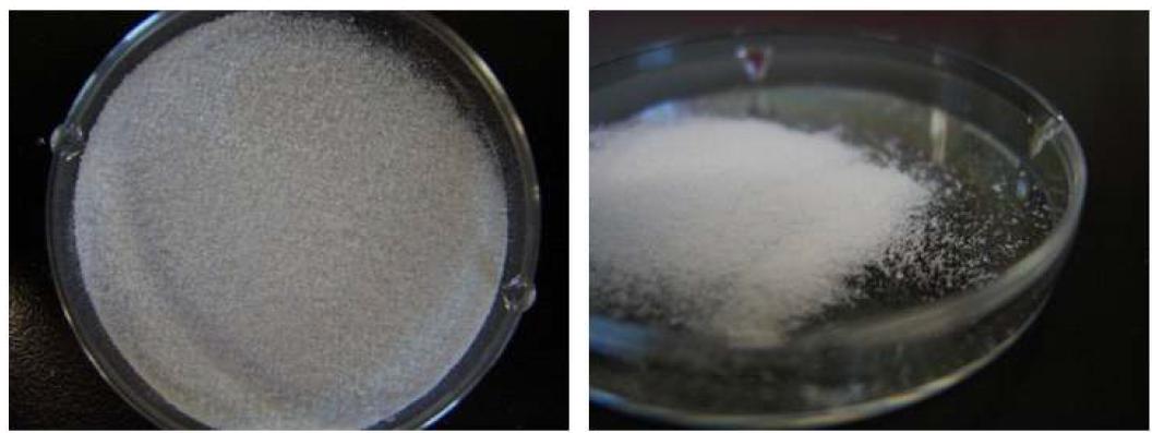 Photographic representation of microcapsule powder containing perilla oil under the conditions optimized in this study.