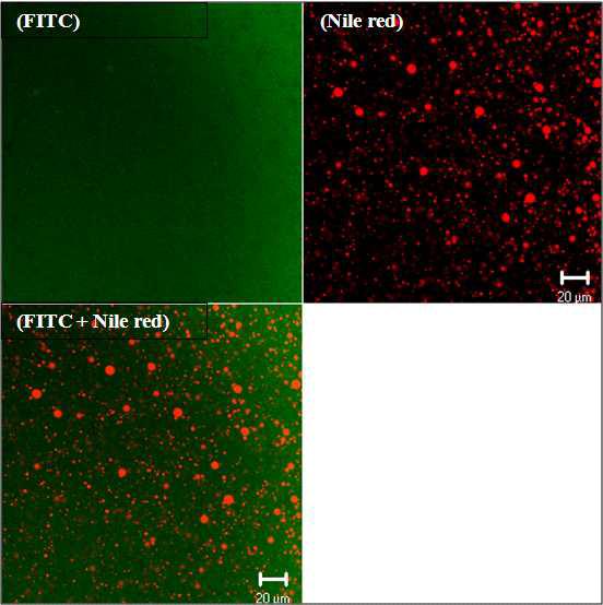 CLSM images of microcapsule containing 100 μmol nile red dissolved in perilla oil with 100 μmol FITC dissolved in wall materials