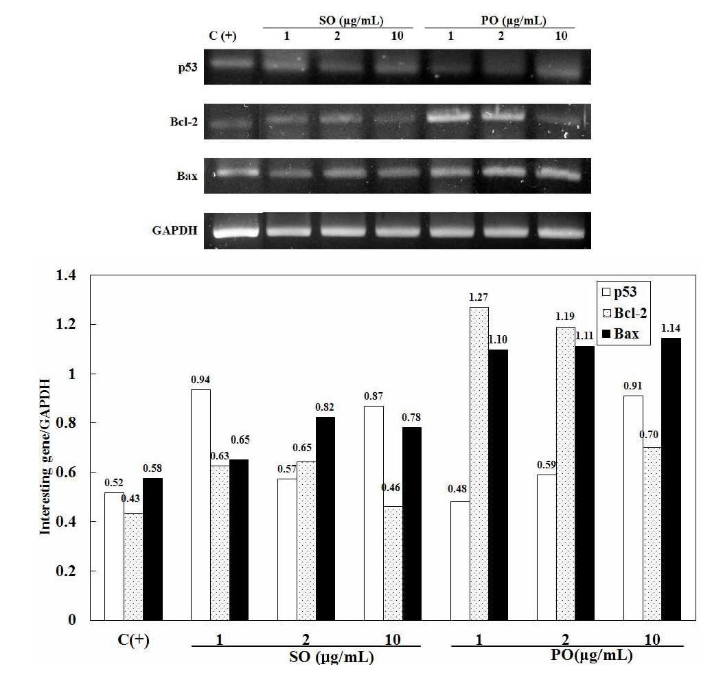 Effect of perilla oil on p53, Bcl-2, and Bax gene expression in cultured THP-1 cells