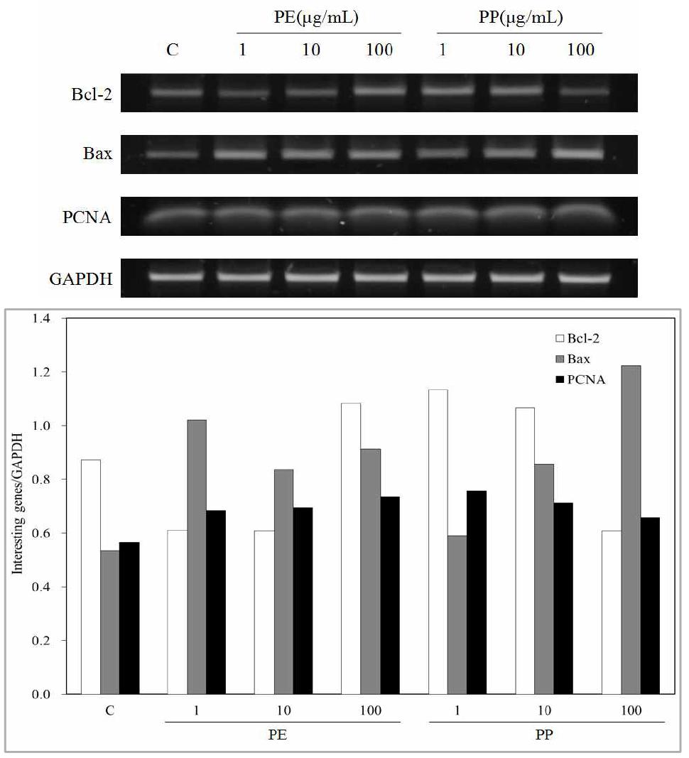 Effect of PE and PP on the Bcl-2, Bax, and PCNA gene expression in MOLT-4 cells