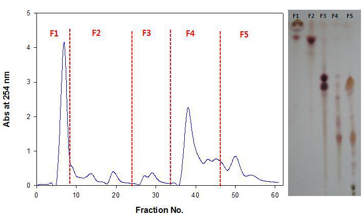 Flashcolumnchromatography (a)및 TLC (b)에 의한 녹두에탄올 추출물의 분리.F는 각 각의 분획을 나타냄.