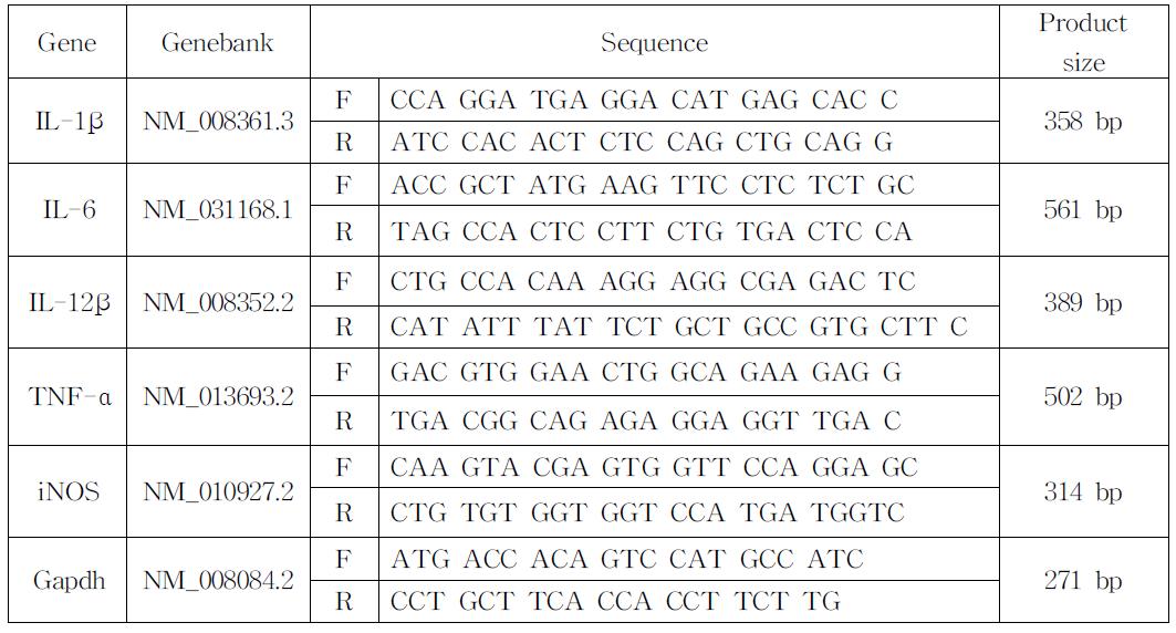 녹두 에탄올 추출물의 대식세포 항염증 활성 측정 방법에 사용된 RT-PCR primerset.