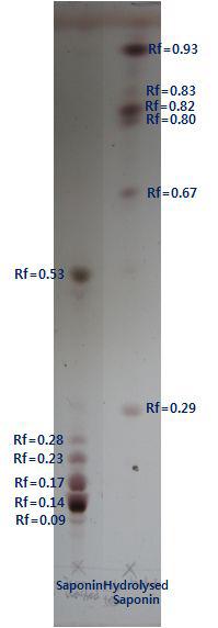 가수분해 전후 대두 사포닌 표준품의 TLC변화.