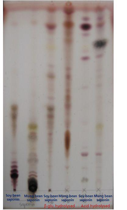 β-Gulcosidase와 산가수분해에 의한 녹두사포닌의 분해.