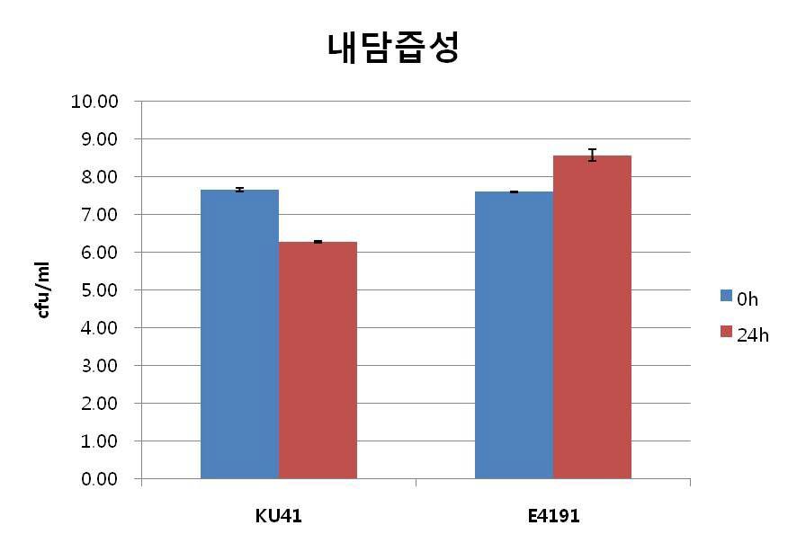 선발된 유산균주의 기본 probiotics능력 중 내담즙성 실험.