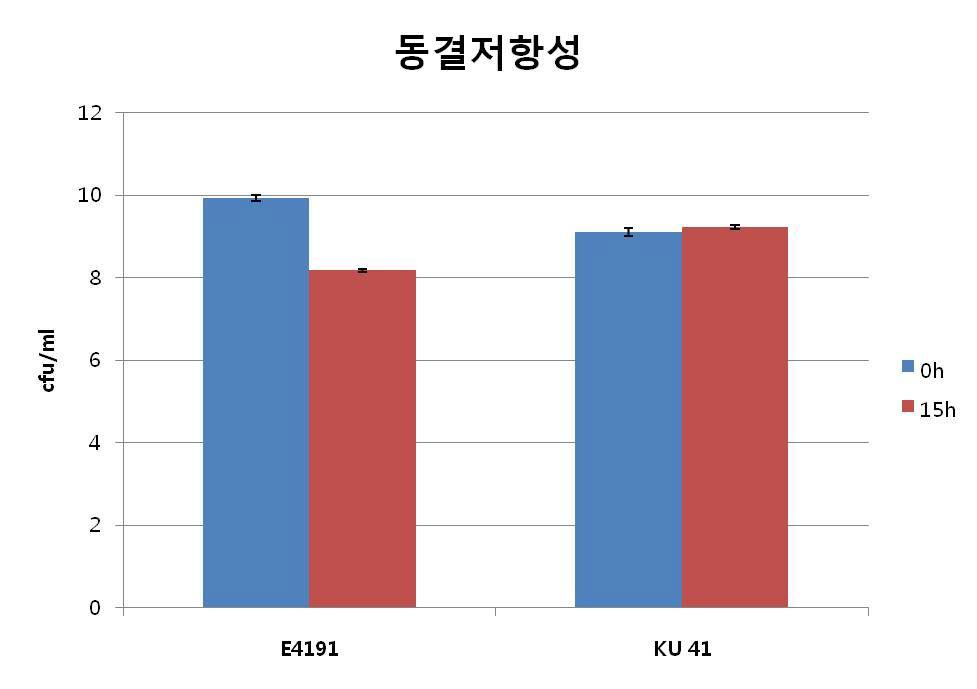 선발된 유산균주의 동결저항성 실험