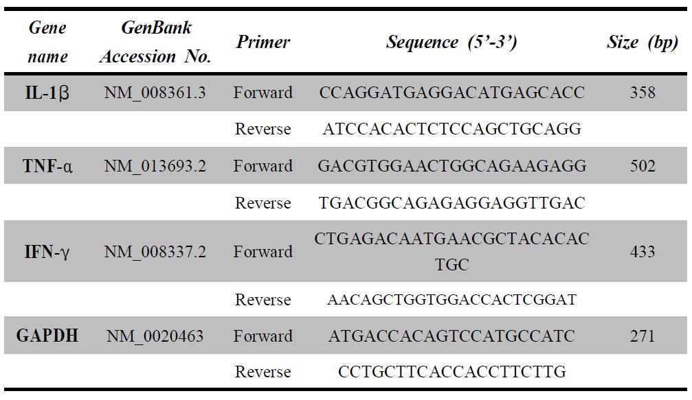 장 염증 모델에서 mesentriclymph node(MLN)내 면역세포의 활성 측정 방법에 사용된 RT-PCR primerset.