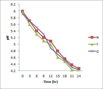 배양시간별 pH 변화