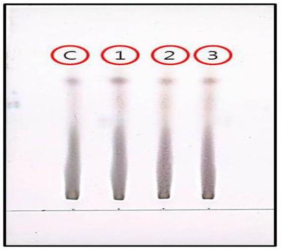 TLC를 이용한 L.paracasei조효소액의 갈락토올리고당(GOS)생산 (35℃)