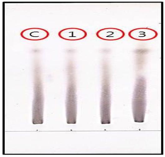 TLC를 이용한 L.paracasei조효소액의 갈락토올리고당(GOS)생산 (40℃)