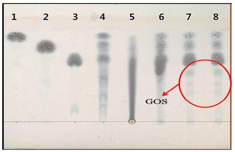 TLC를 통한 L.paracasei조효소액의 갈락토올리고당(GOS)생성 확인