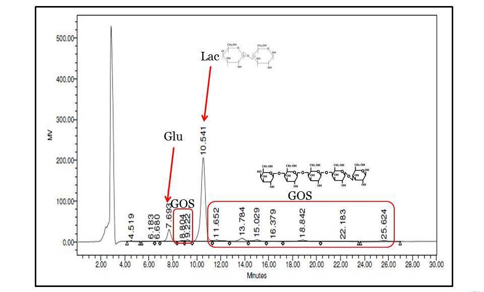 HPLC를 통한 갈락토올리고당의 정량