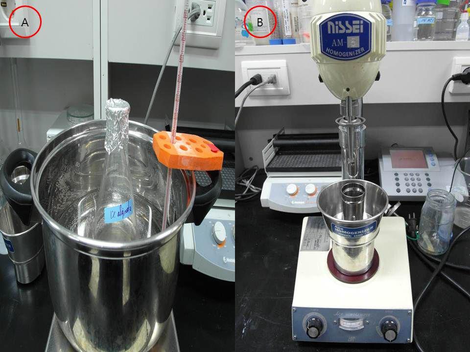 Na-alginate및 modifiedstarch코팅용액의 조제,60℃(A); 조효소액과 코팅 물질의 Homomixing,40℃(B)
