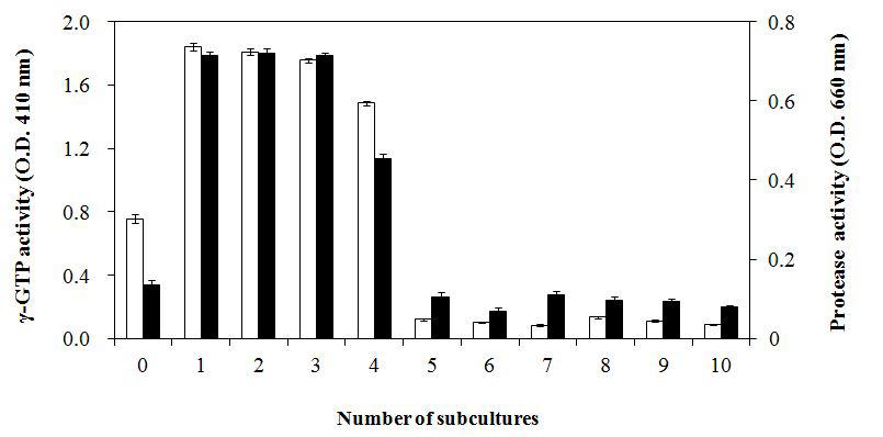 Effect of γ-GTPase and proteaseactivity of B.amyloliquefaciens KC 41 by number of subcultures.