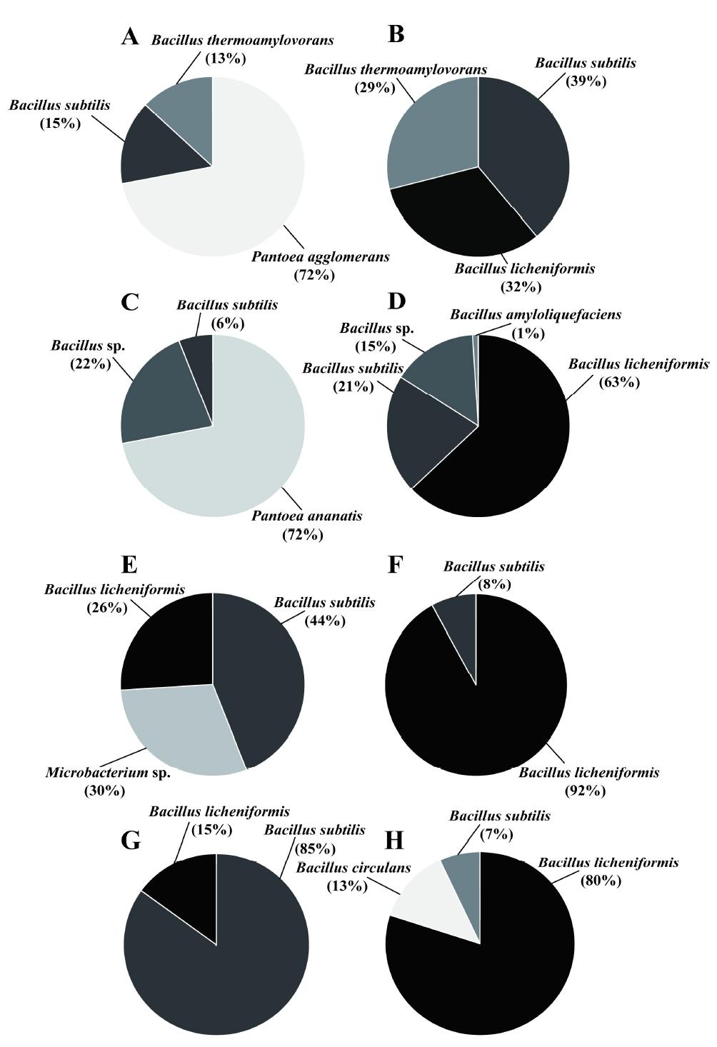 Proportion of the isolated microorganisms from rice-straw and Chungkookjang.
