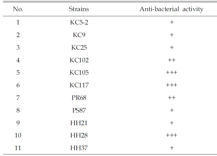 Anti-bacterial activity of isolated strains against Bacillus cereus