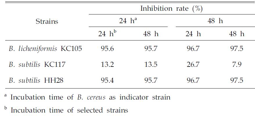 Growth inhibition rate of selected strains against Bacillus cereus