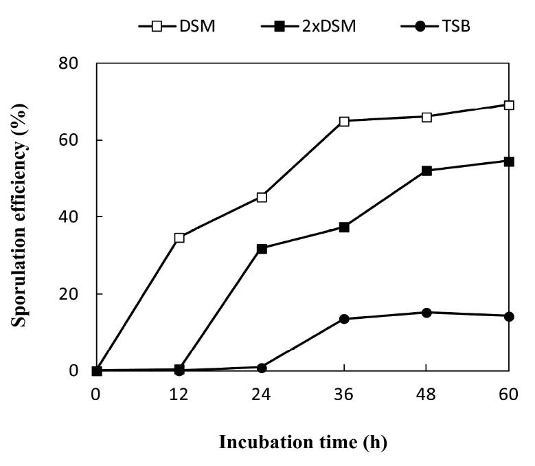 Sporulation efficiency of B.amyloliquefaciens KC41 on the various culture mediums.