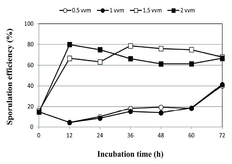 Sporulation efficiency of B.amyloliquefaciens KC41 on the various aeration rate in the jar fermentor.