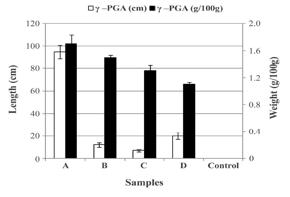 Measurement of physical properties of γ-PGA from Chungkookjang prototypes fermented with specialized microorganisms.