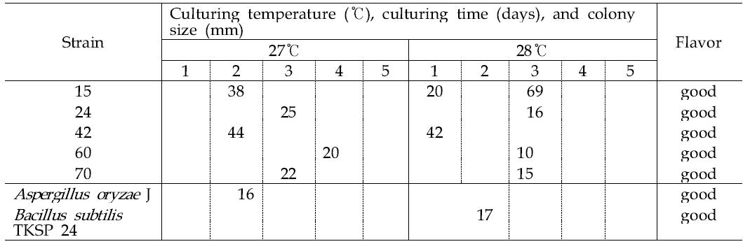 Flavor and colony size according to the culture temperature and time