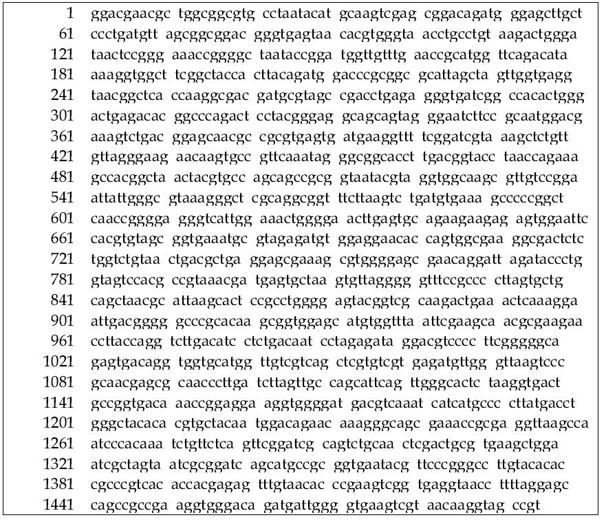 16S rRNA sequence of Bacillus subtilis TKSP 24