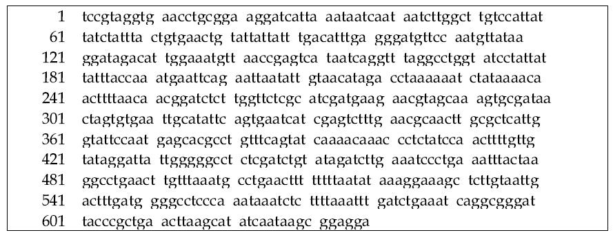 18S rRNA sequence of Mucor racemosus 15