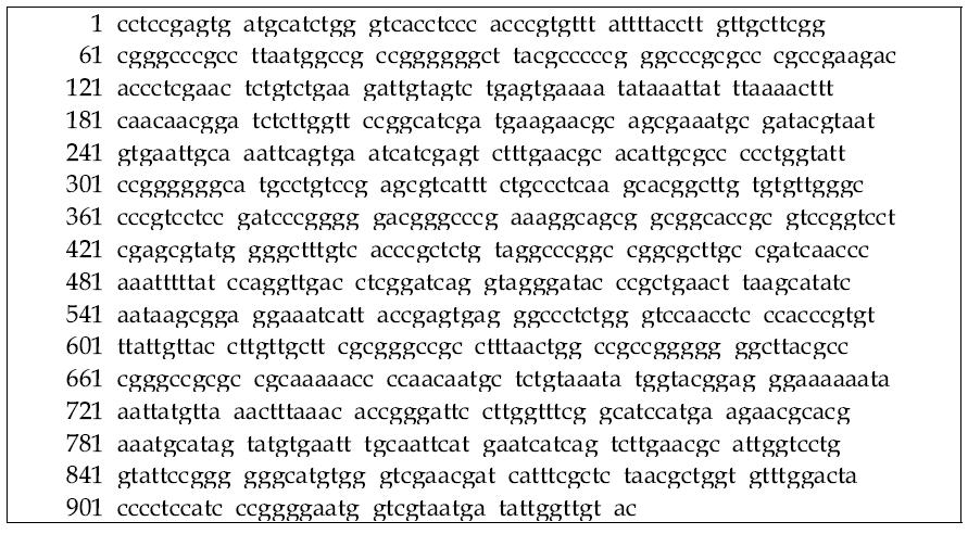 18S rRNA sequence of P enicillium chrysogenum (strain 24)