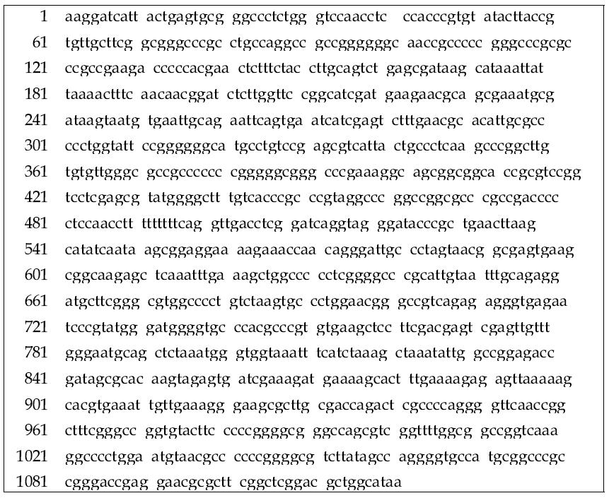 18S rRNA sequence of P enicillium fellutanum (strain 70)