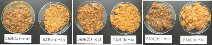 Color of outer and inner side in Doenjang.