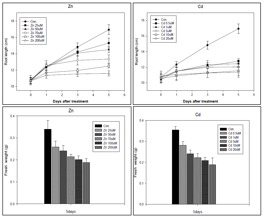 Effects of Zn and Cd supply on the root elongation rate and fresh weight of barley after 1, 3, and 5 days.