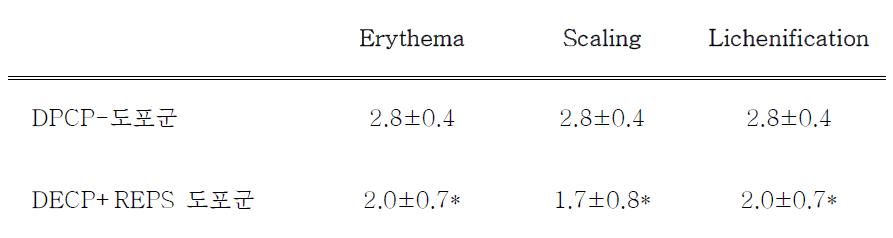 마우스 그룹별 (DPCP 도포군, 대조군 그리고 DPCP와 REPS 연고를 함께 도포한군) 피부 염증 평가도