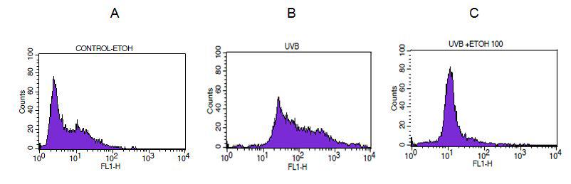 FACS analysis to quantify intracellular ROS in HDFs.