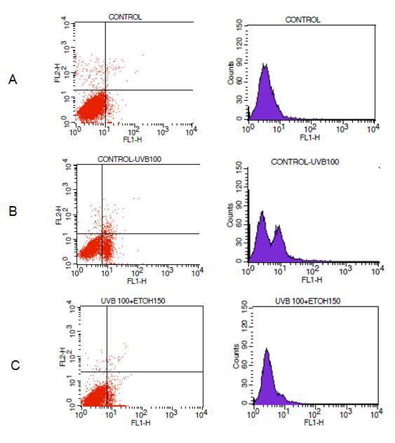 REPS protects HDF from UVB-induced cell death.