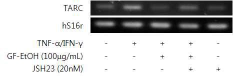 Effect of JSH-23 on TARC mRNA expression in GF-EtOH and TNF-α/IFN-γ -treated cells.