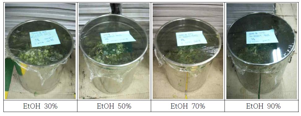 Procedure of the ethanol extract using Psidium guajava leaf.