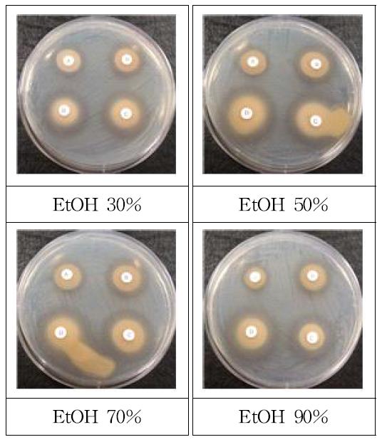 Antimicrobial activity according to ethanol concentration of Psidium guajava leaf against Staphylococcus aureus.