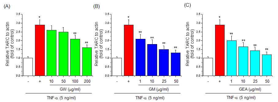 Effect of guava on TARC gene expression in HaCaT cells