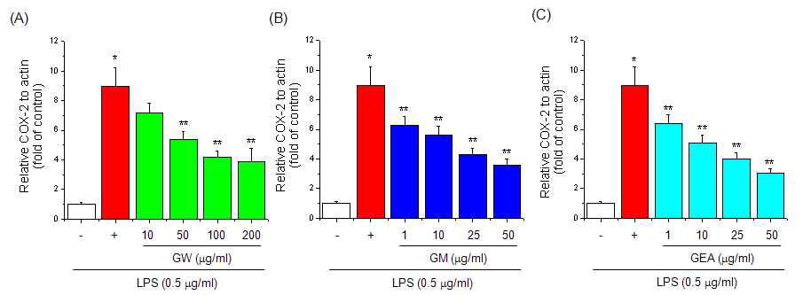 Effect of guava on COX-2 gene expression in RAW 264.7 cells.