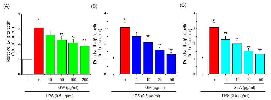 Effect of guava on IL-1β gene expression in RAW 264.7 cells